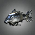 EduardoPerez-Design-fish