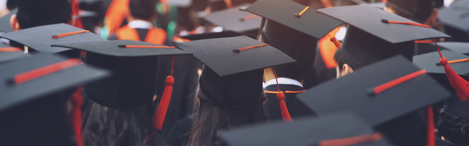 program for students-protocoltoday